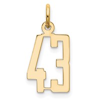 14K Yellow Gold Small Elongated Number 43 Charm view 1
