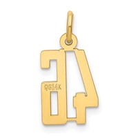 14K Yellow Gold Small Elongated Number 46 Charm view 3