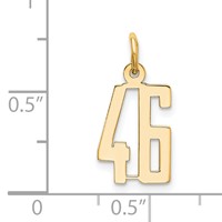 14K Yellow Gold Small Elongated Number 46 Charm view 4