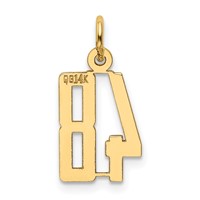 14K Yellow Gold Small Elongated Number 48 Charm view 3
