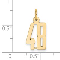 14K Yellow Gold Small Elongated Number 48 Charm view 4