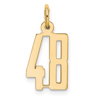 14K Yellow Gold Small Elongated Number 48 Charm view 1