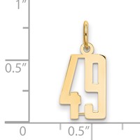 14K Yellow Gold Small Elongated Number 49 Charm view 2