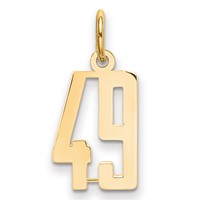 14K Yellow Gold Small Elongated Number 49 Charm view 1