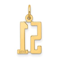 14K Yellow Gold Small Elongated Number 51 Charm view 3