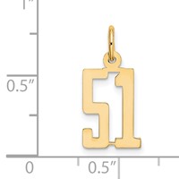 14K Yellow Gold Small Elongated Number 51 Charm view 4