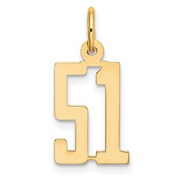 14K Yellow Gold Small Elongated Number 51 Charm view 1