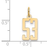 14K Yellow Gold Small Elongated Number 53 Charm view 4