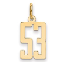14K Yellow Gold Small Elongated Number 53 Charm view 1
