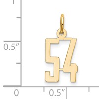 14K Yellow Gold Small Elongated Number 54 Charm view 2
