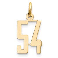 14K Yellow Gold Small Elongated Number 54 Charm view 1