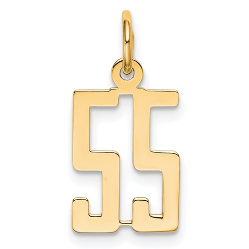 14K Yellow Gold Small Elongated Number 55 Charm