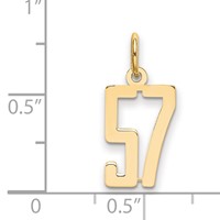 14K Yellow Gold Small Elongated Number 57 Charm view 2