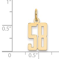 14K Yellow Gold Small Elongated Number 58 Charm view 4
