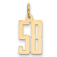 14K Yellow Gold Small Elongated Number 58 Charm view 1