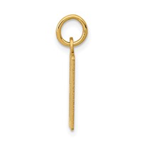 14K Yellow Gold Small Elongated Number 60 Charm view 2
