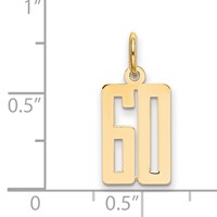 14K Yellow Gold Small Elongated Number 60 Charm view 4