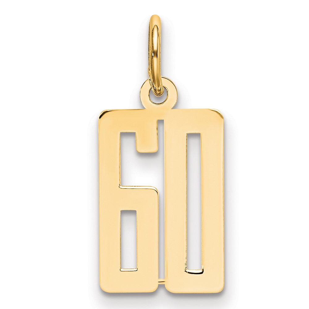 14K Yellow Gold Small Elongated Number 60 Charm
