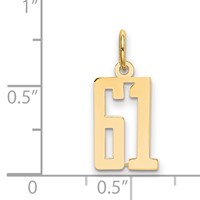 14K Yellow Gold Small Elongated Number 61 Charm view 4