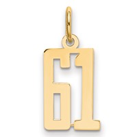 14K Yellow Gold Small Elongated Number 61 Charm view 1