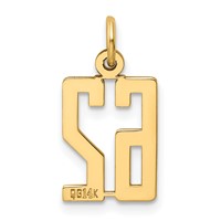 14K Yellow Gold Small Elongated Number 62 Charm view 3