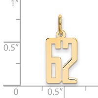 14K Yellow Gold Small Elongated Number 62 Charm view 4