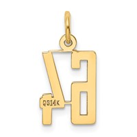 14K Yellow Gold Small Elongated Number 64 Charm view 3