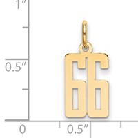 14K Yellow Gold Small Elongated Number 66 Charm view 4