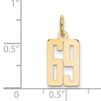 14K Yellow Gold Small Elongated Number 69 Charm view 2