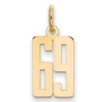 14K Yellow Gold Small Elongated Number 69 Charm view 1