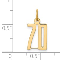 14K Yellow Gold Small Elongated Number 70 Charm view 2