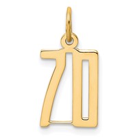 14K Yellow Gold Small Elongated Number 70 Charm view 1