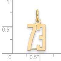 14K Yellow Gold Small Elongated Number 73 Charm view 2