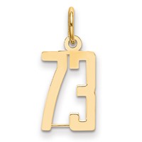 14K Yellow Gold Small Elongated Number 73 Charm view 1