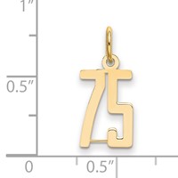 14K Yellow Gold Small Elongated Number 75 Charm view 3