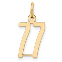 14K Yellow Gold Small Elongated Number 77 Charm view 1