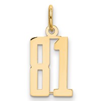 14K Small Elongated Number 81 Charm view 1