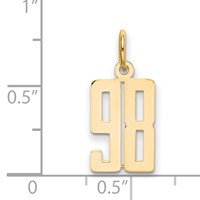 14K Yellow Gold Small Elongated Number 98 Charm view 4