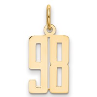 14K Yellow Gold Small Elongated Number 98 Charm view 1