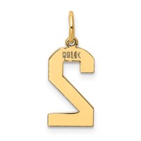 14K Yellow Gold Medium Polished Number 2 Charm view 3