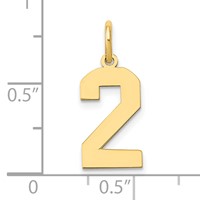 14K Yellow Gold Medium Polished Number 2 Charm view 4