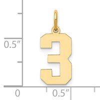 14K Yellow Gold Medium Polished Number 3 Charm view 4