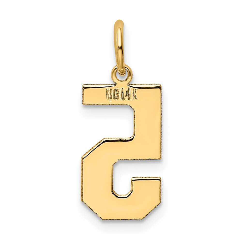 14k Medium Polished Number 5 Charm (LM05)