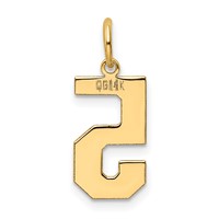 14K Medium Polished Number 5 Charm view 3
