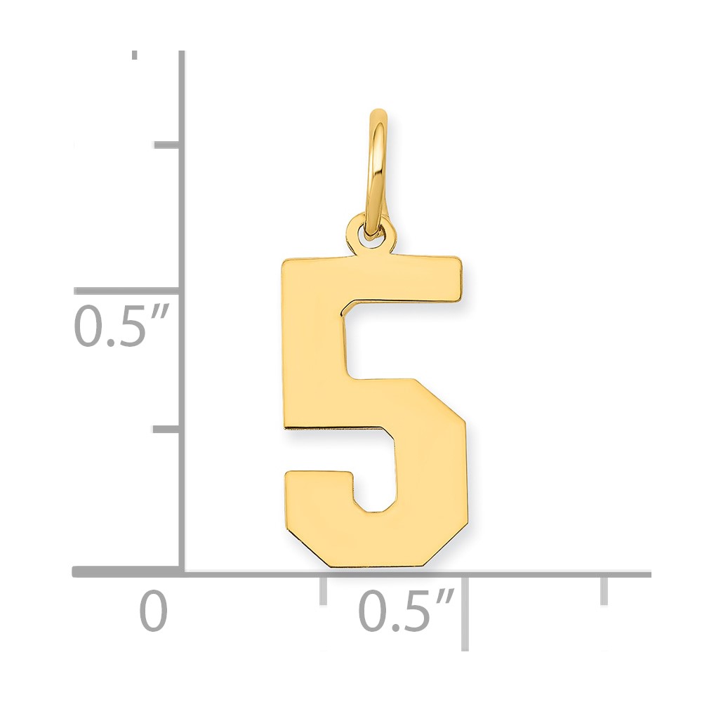 14k Medium Polished Number 5 Charm (LM05)