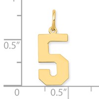 14K Medium Polished Number 5 Charm view 4