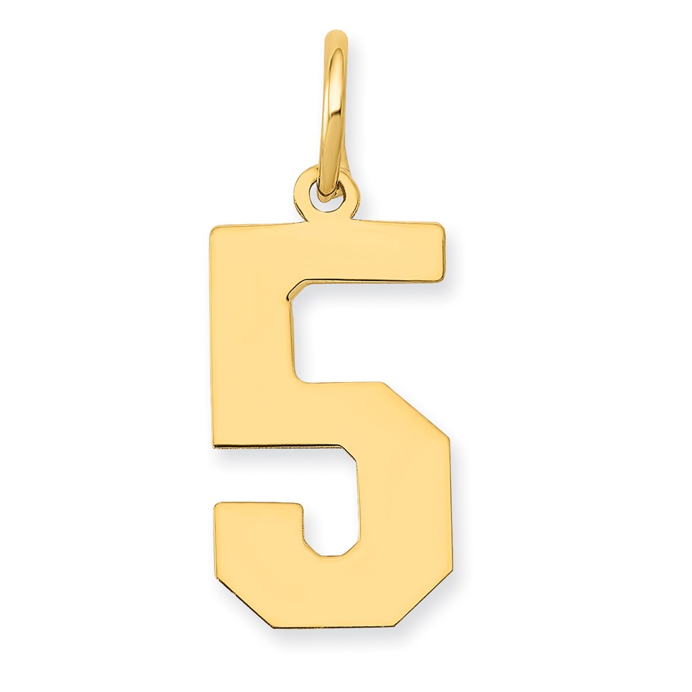 14k Medium Polished Number 5 Charm (LM05)