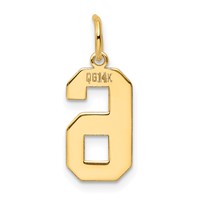 14K Yellow Gold Medium Polished Number 6 Charm view 3