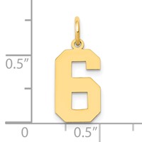 14K Yellow Gold Medium Polished Number 6 Charm view 4