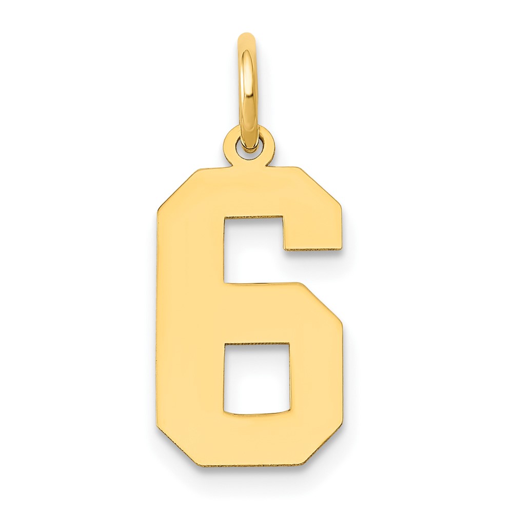 14K Yellow Gold Medium Polished Number 6 Charm